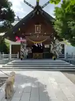 西野神社の本殿・本堂
