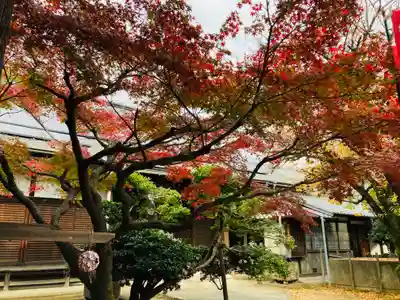 長久寺のその他建物