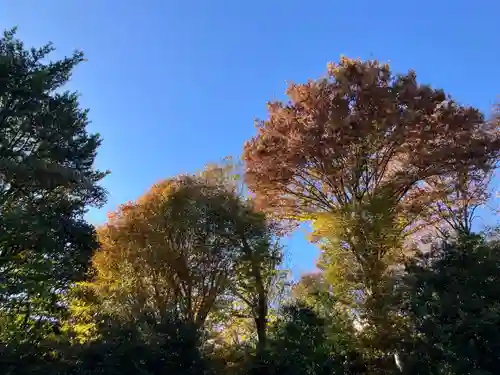 普門院(東京都)