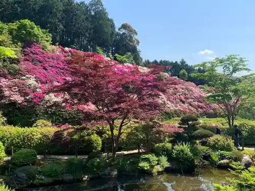 三室戸寺の庭園