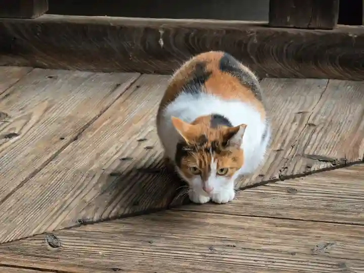 行願寺(革堂)(京都府)