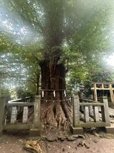 伊達神社(宮城県)