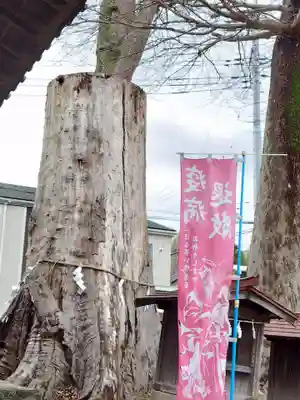 八枝神社(埼玉県)