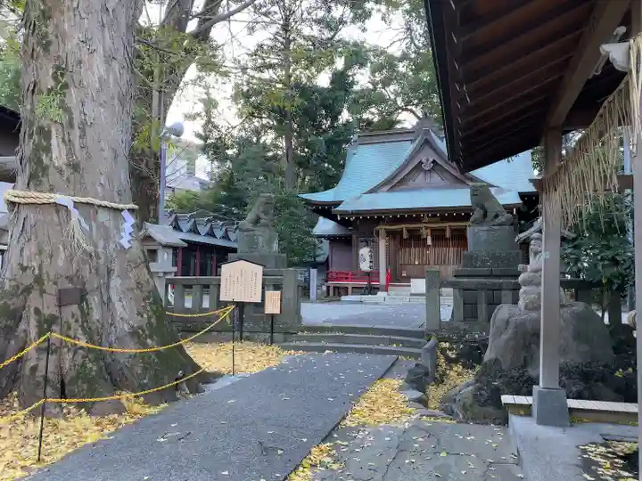 今宮神社の自然