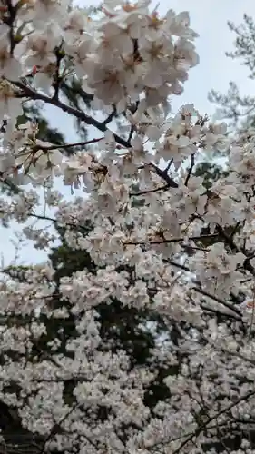 建部大社(滋賀県)