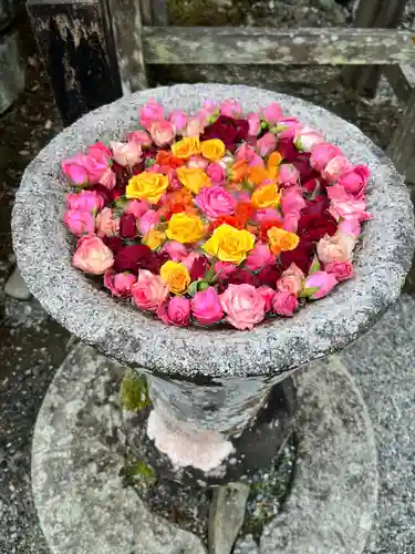 丹生都比売神社(和歌山県)
