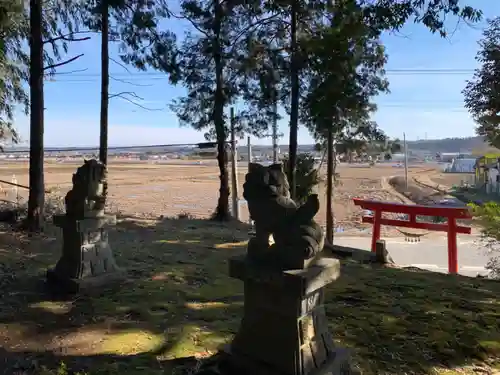 糺神社の狛犬