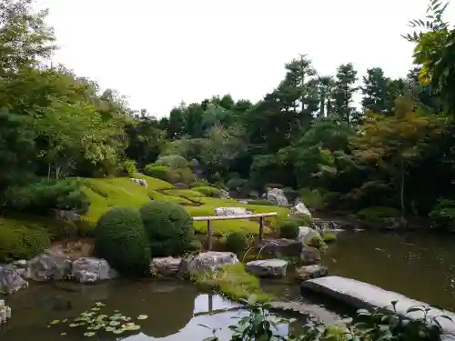 退蔵院の庭園