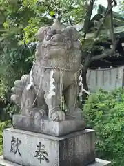 堀越神社(大阪府)