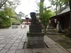 武蔵野八幡宮の狛犬