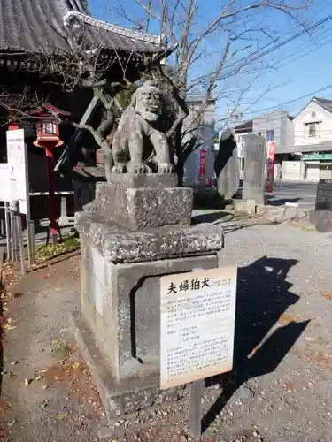 龍ケ崎八坂神社の狛犬