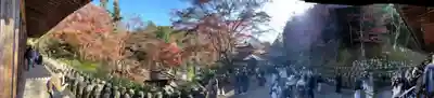 愛宕念仏寺(京都府)