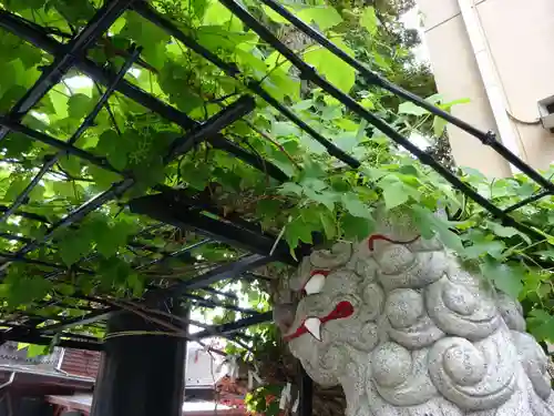 菊名神社の自然
