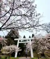 土津神社|こどもと出世の神さまの鳥居