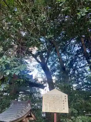 大宝八幡宮(茨城県)