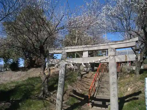 菅原神社(埼玉県)