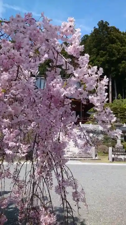 久遠寺(山梨県)