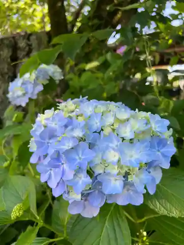 高麗神社(埼玉県)
