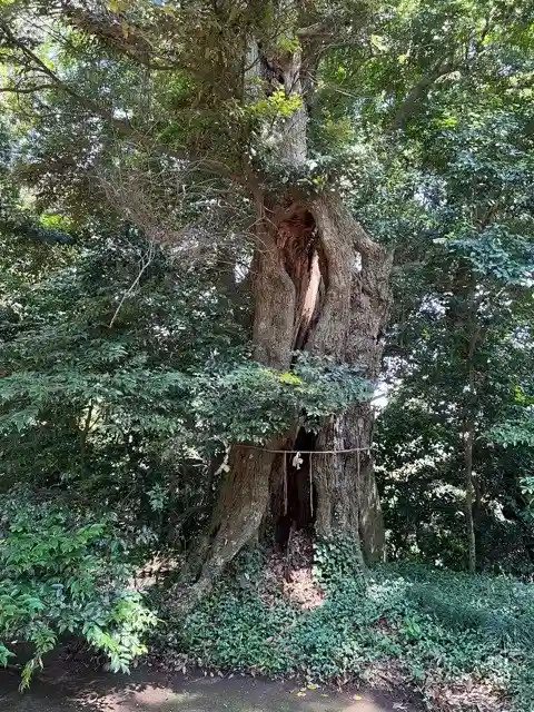 蛟蝄神社奥の宮(茨城県)