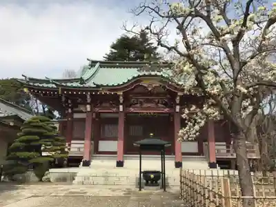 禪定院の本殿・本堂