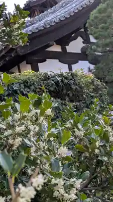 隨心院(随心院)(京都府)