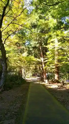 大矢田神社の自然