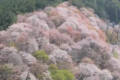 吉水神社の景色