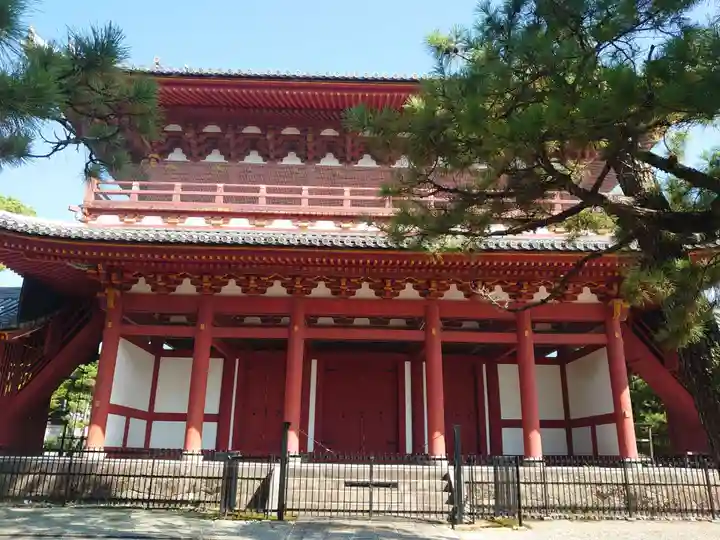 妙心寺(妙心禅寺)(京都府)