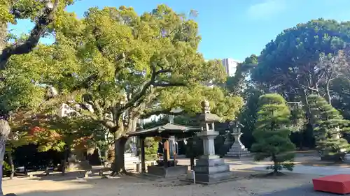 大元 宗忠神社(岡山県)