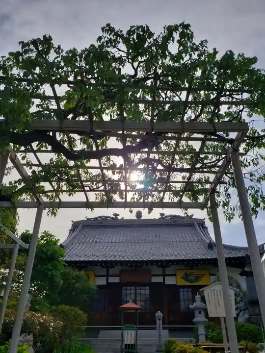 長善寺の本殿・本堂