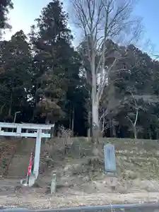大宮温泉神社(栃木県)(2024年02月16日(金) 08時10分31秒投稿)