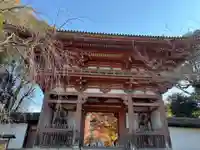 醍醐寺(京都府)