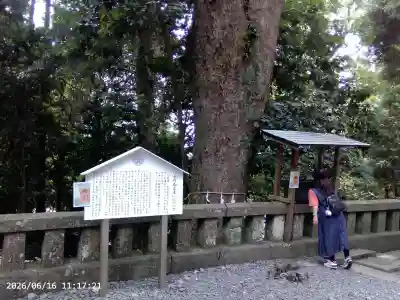 久能山東照宮(静岡県)