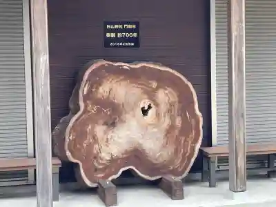 白山神社(奈良県)