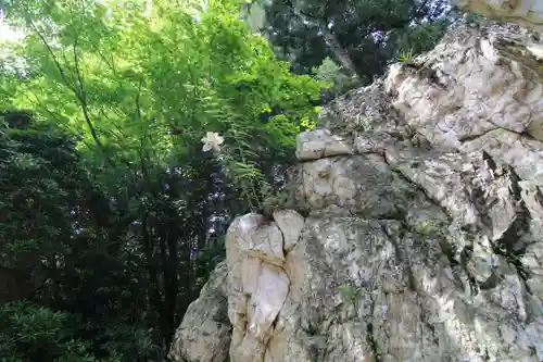 鹿島大神宮の庭園