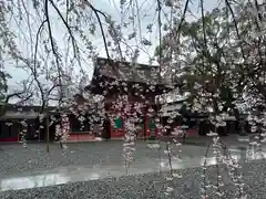 富士山本宮浅間大社(静岡県)