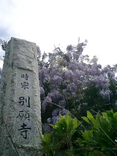 別願寺のその他建物