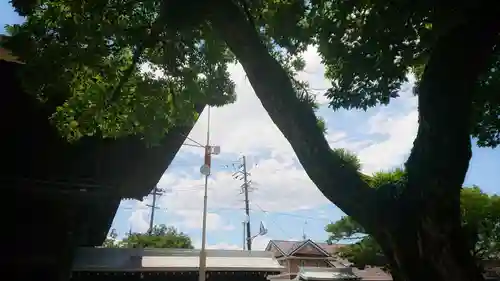 尾張大國霊神社（国府宮）の自然