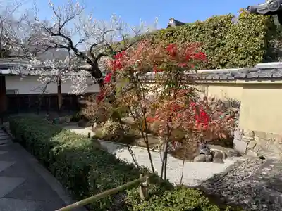 妙智院(京都府)