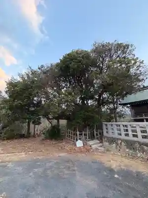 出雲手斧神社(島根県)