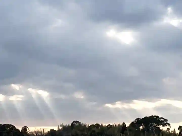 白子神社(千葉県)