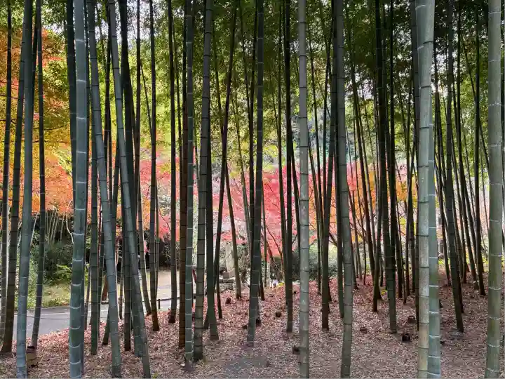 建長寺(神奈川県)