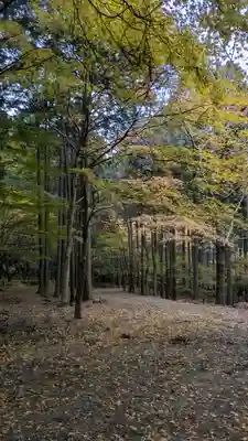 上ノ院本坊 来迎院(京都府)