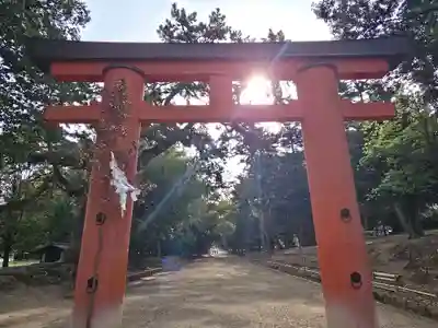 春日大社(奈良県)