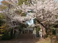 大平八幡宮の自然