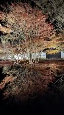 妙覺寺（妙覚寺）(京都府)