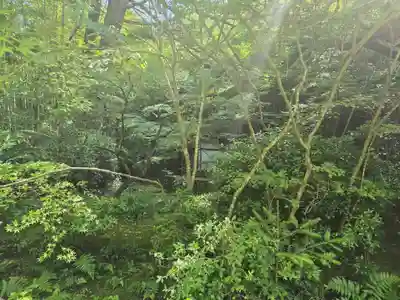 滝口寺(京都府)