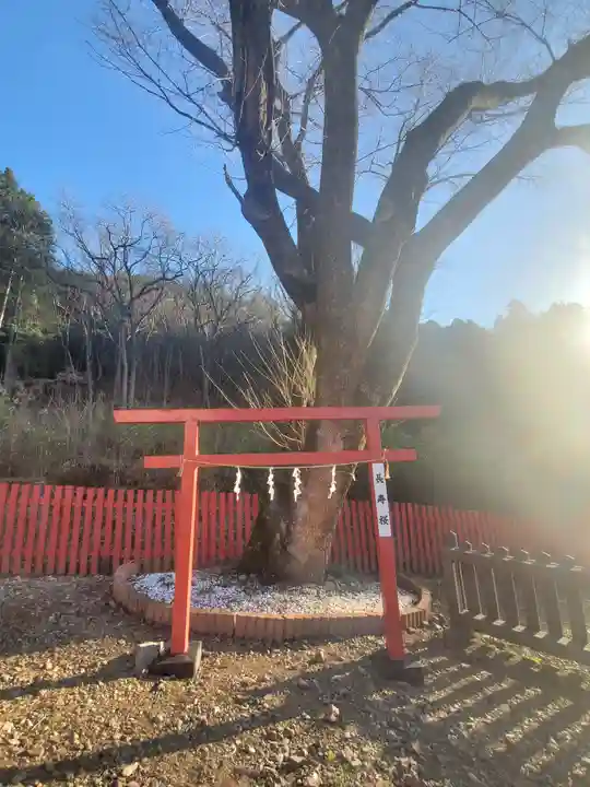 出雲神社の自然