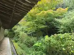 浄瑠璃寺(京都府)