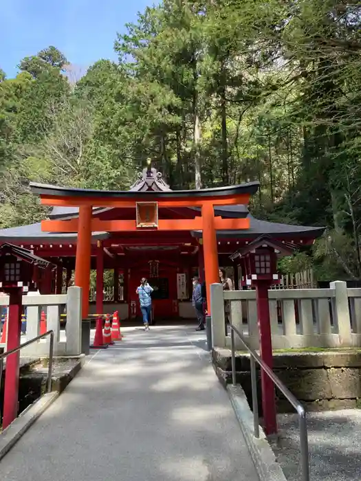 九頭龍神社新宮の鳥居